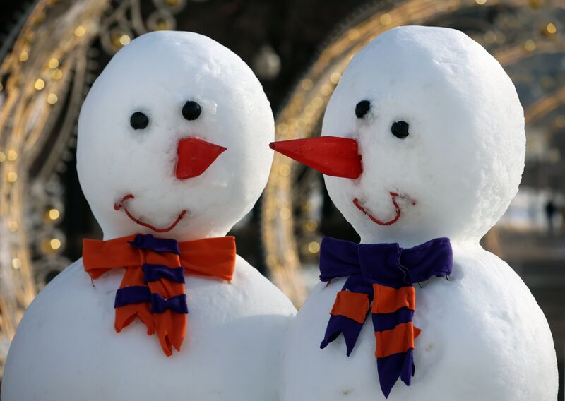 18 января - Всемирный день снеговика