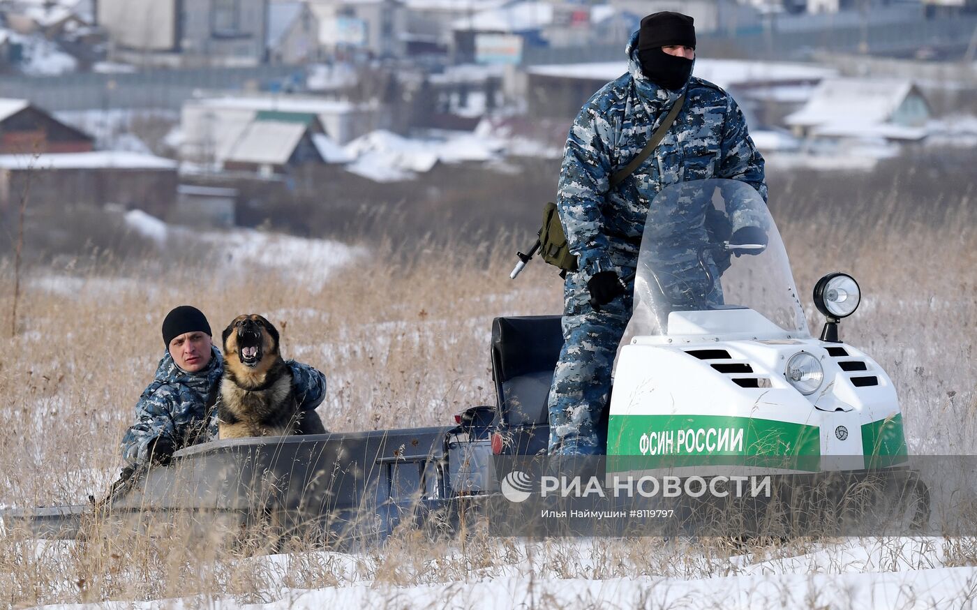 Тренировки спецназа по подготовке служебных собак в Красноярском крае