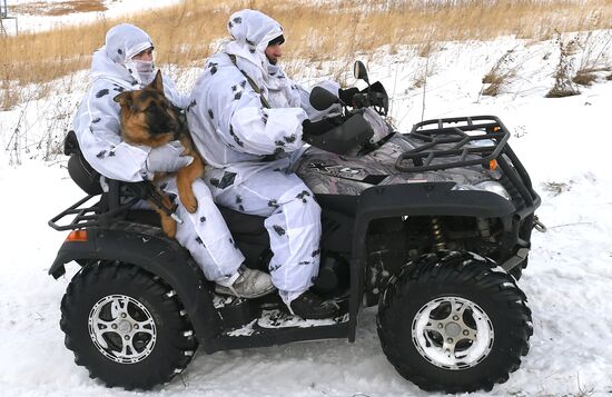 Тренировки спецназа по подготовке служебных собак в Красноярском крае