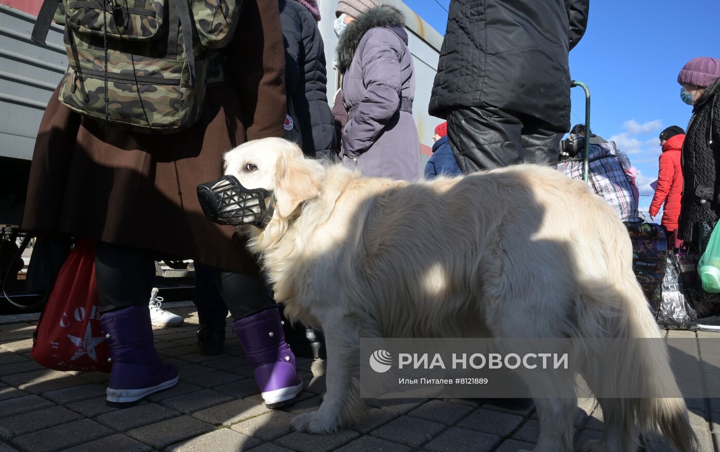 Ситуация в Донецкой народной республике