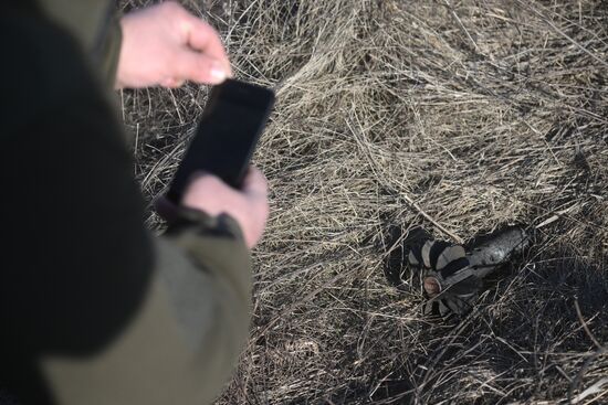 Ситуация в Донецкой Народной Республике