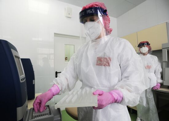 Работа лаборатории по ПЦР-тестированию в Тамбове