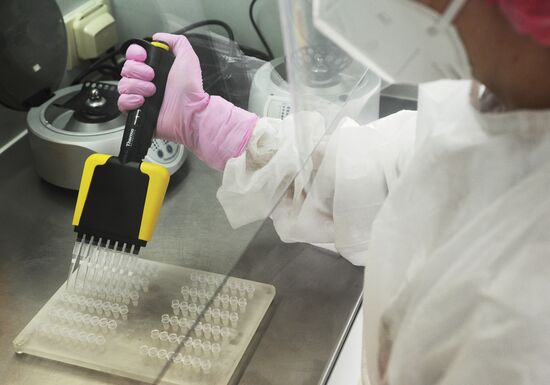 Работа лаборатории по ПЦР-тестированию в Тамбове