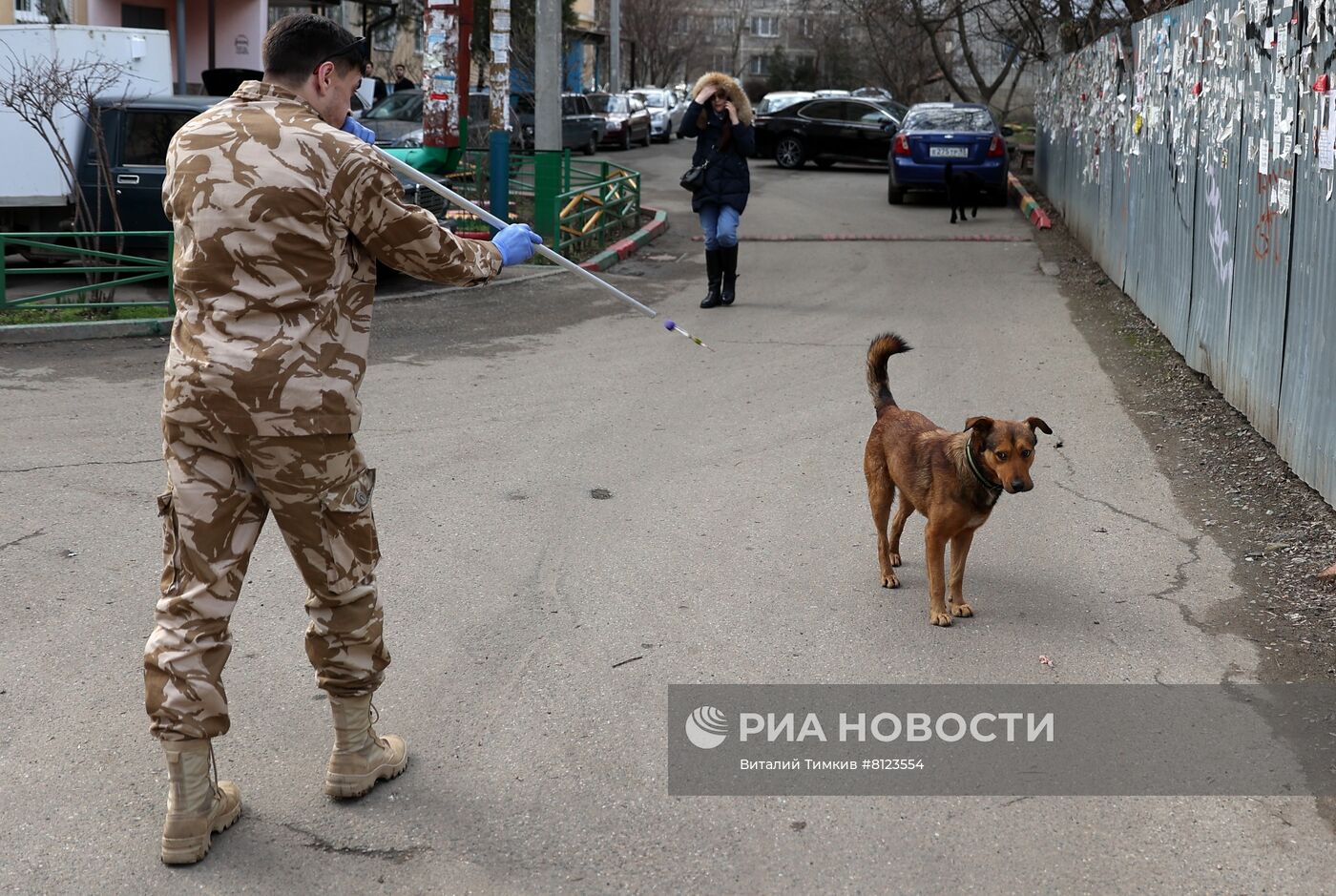 Отлов бродячих собак в Краснодаре