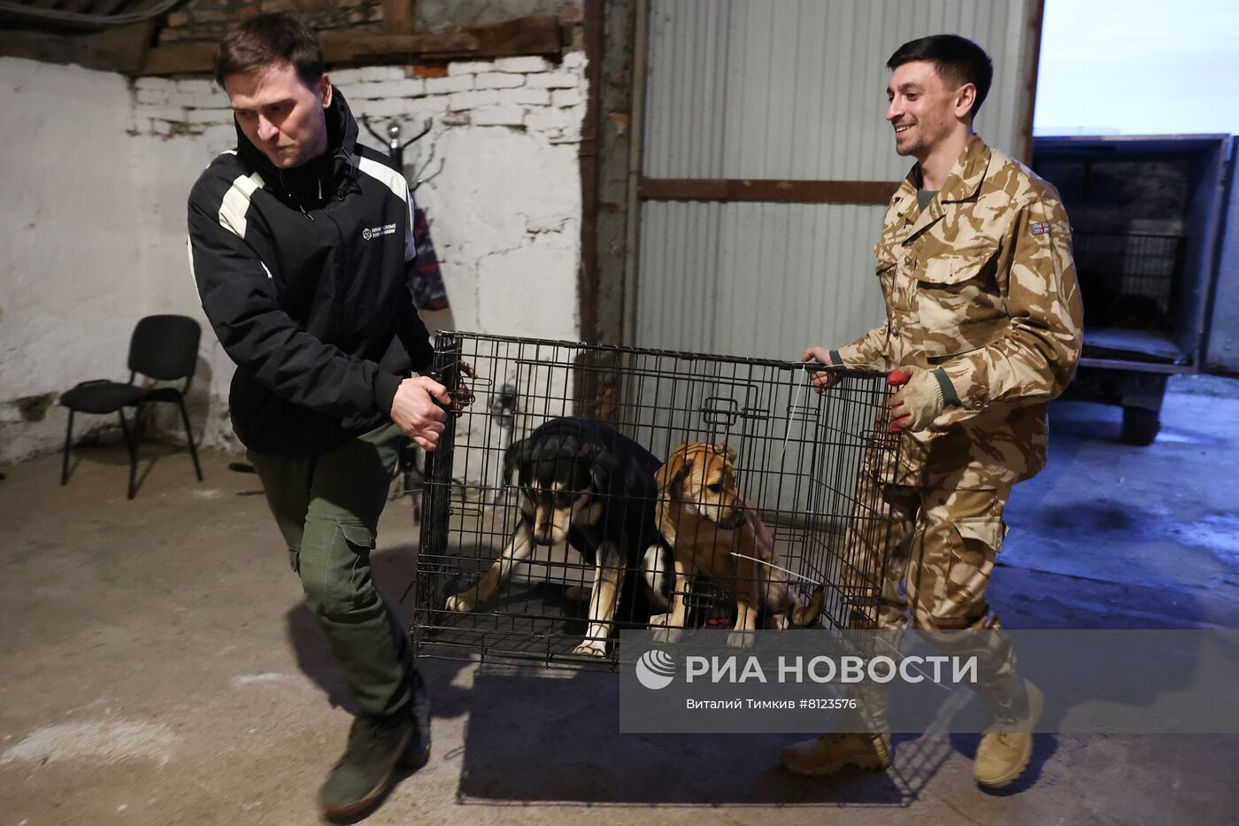 Отлов бродячих собак в Краснодаре