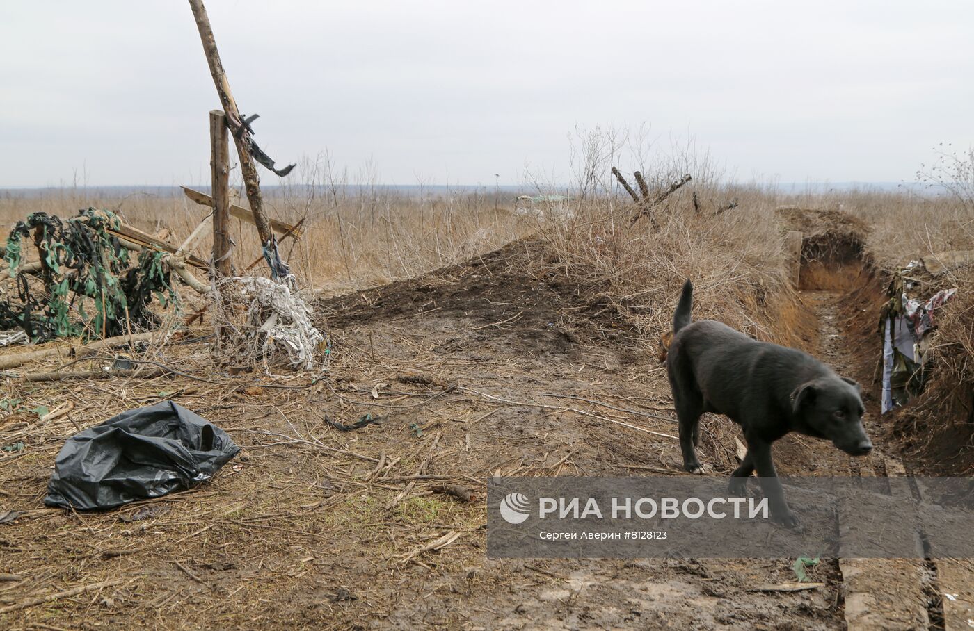 Ситуация в Донецкой народной республике