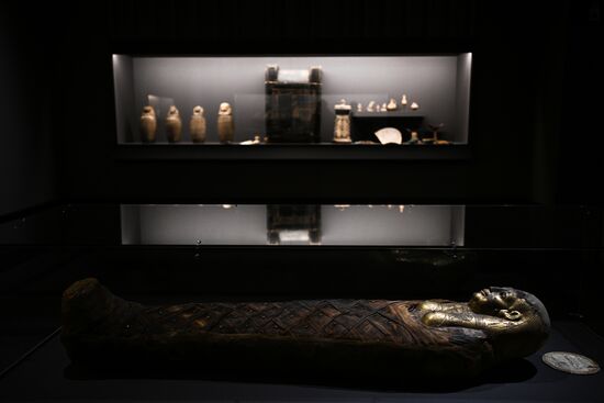 Выставка "Мумии Древнего Египта. Искусство бессмертия" 