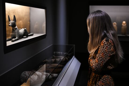 Выставка "Мумии Древнего Египта. Искусство бессмертия" 