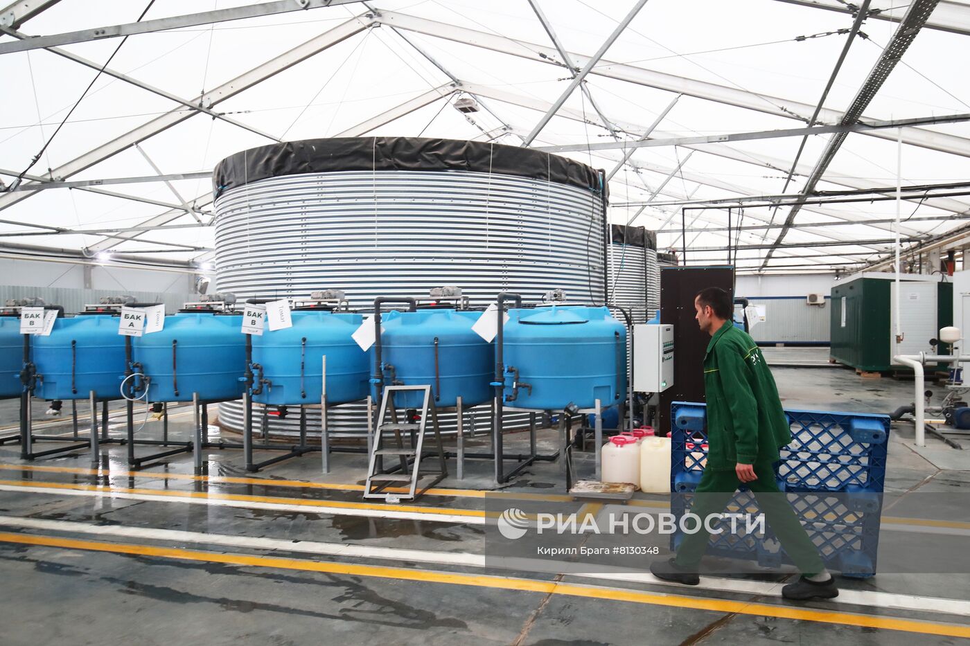 Тепличное хозяйство "Росток" в Волгоградской области