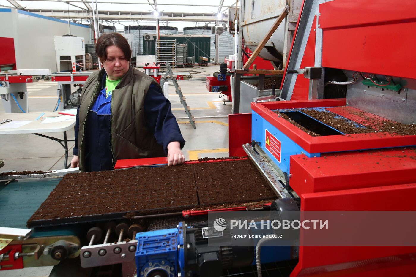 Тепличное хозяйство "Росток" в Волгоградской области