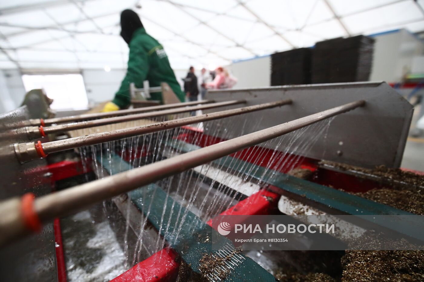 Тепличное хозяйство "Росток" в Волгоградской области