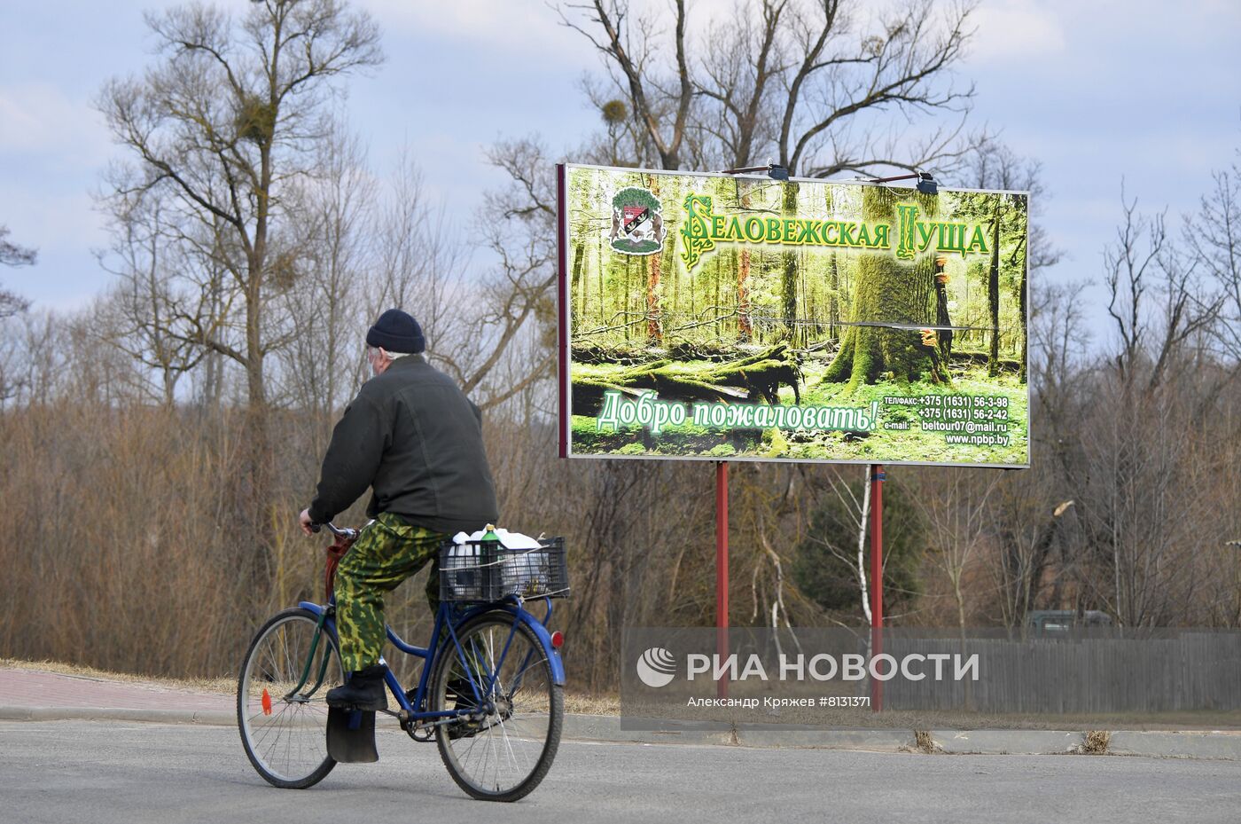 Российско-украинские переговоры в Белоруссии