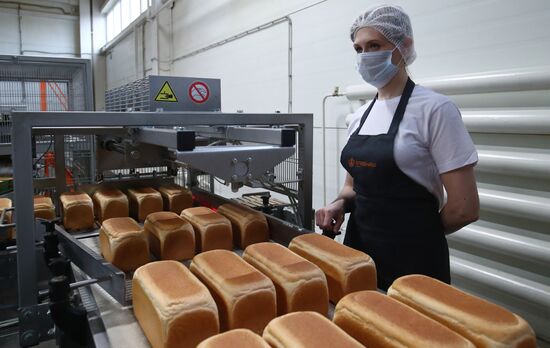 Производство хлебобулочных изделий в Волгоградской области