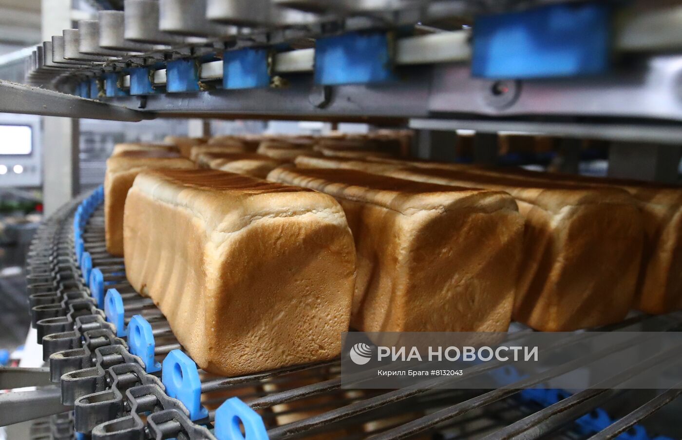 Производство хлебобулочных изделий в Волгоградской области