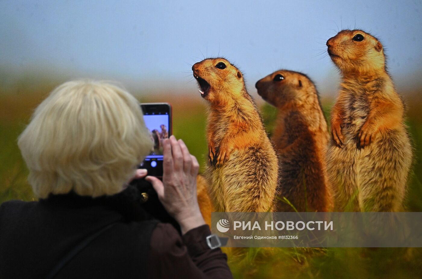 Фотовыставка "Первозданная Россия"