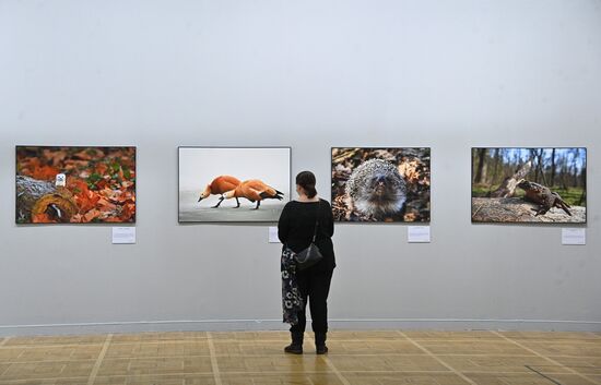 Фотовыставка "Первозданная Россия"