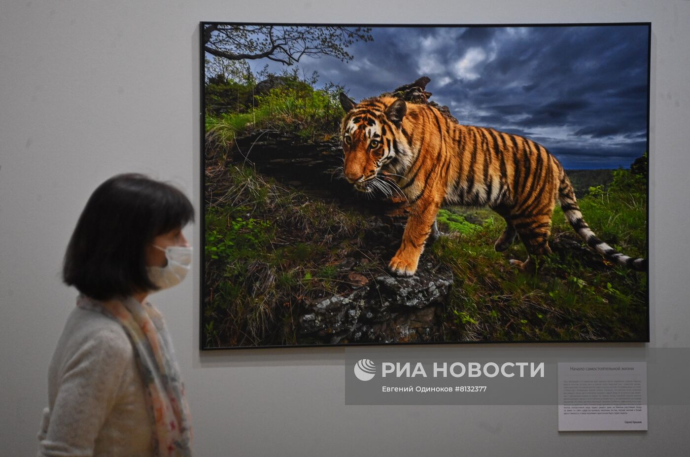 Фотовыставка "Первозданная Россия"