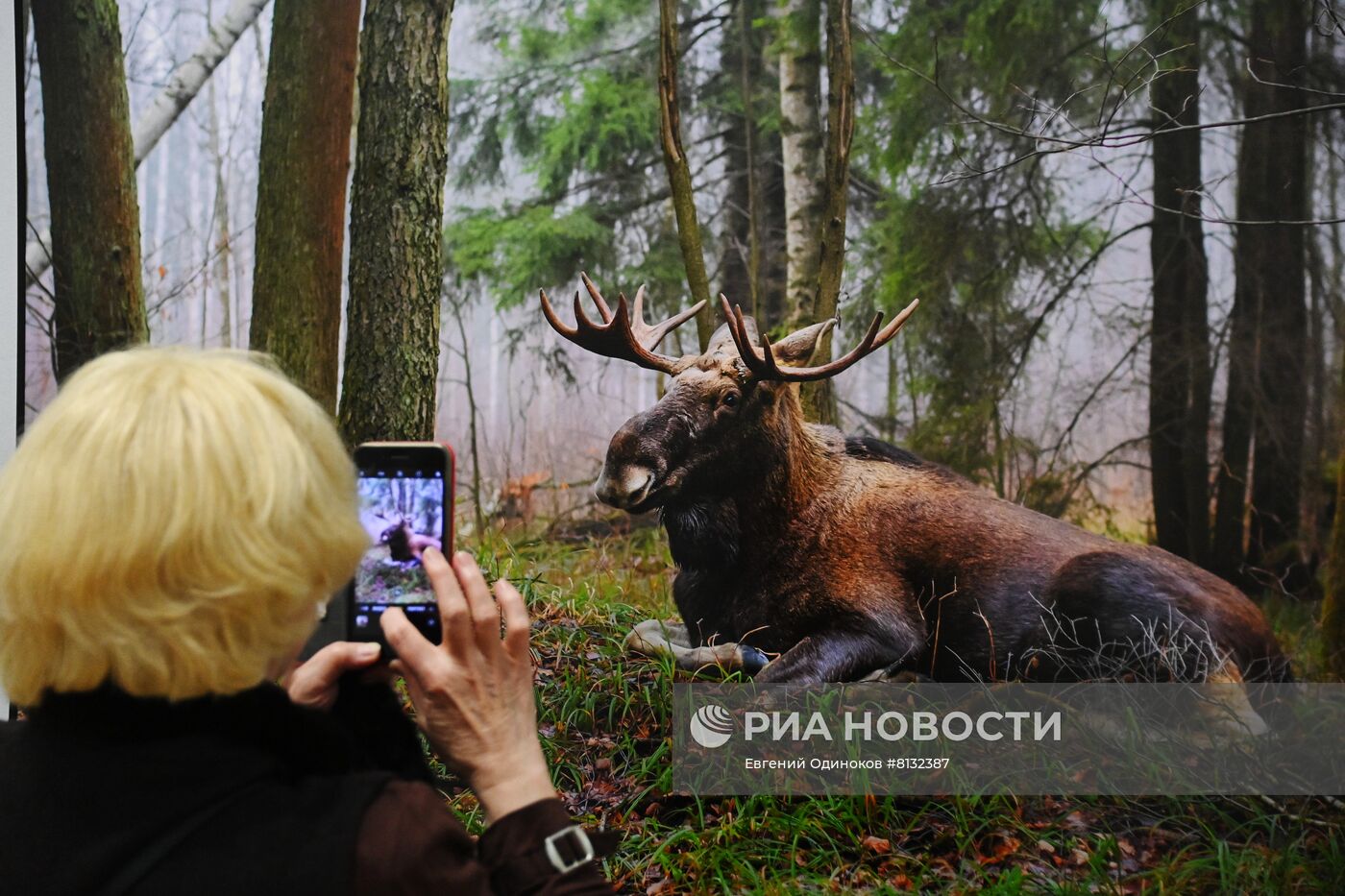 Фотовыставка "Первозданная Россия"