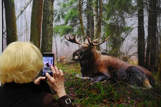 Фотовыставка "Первозданная Россия"