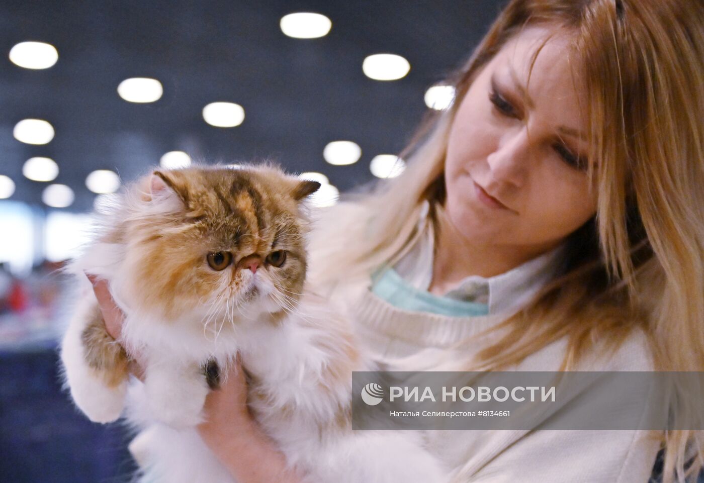 Выставка кошек в Москве