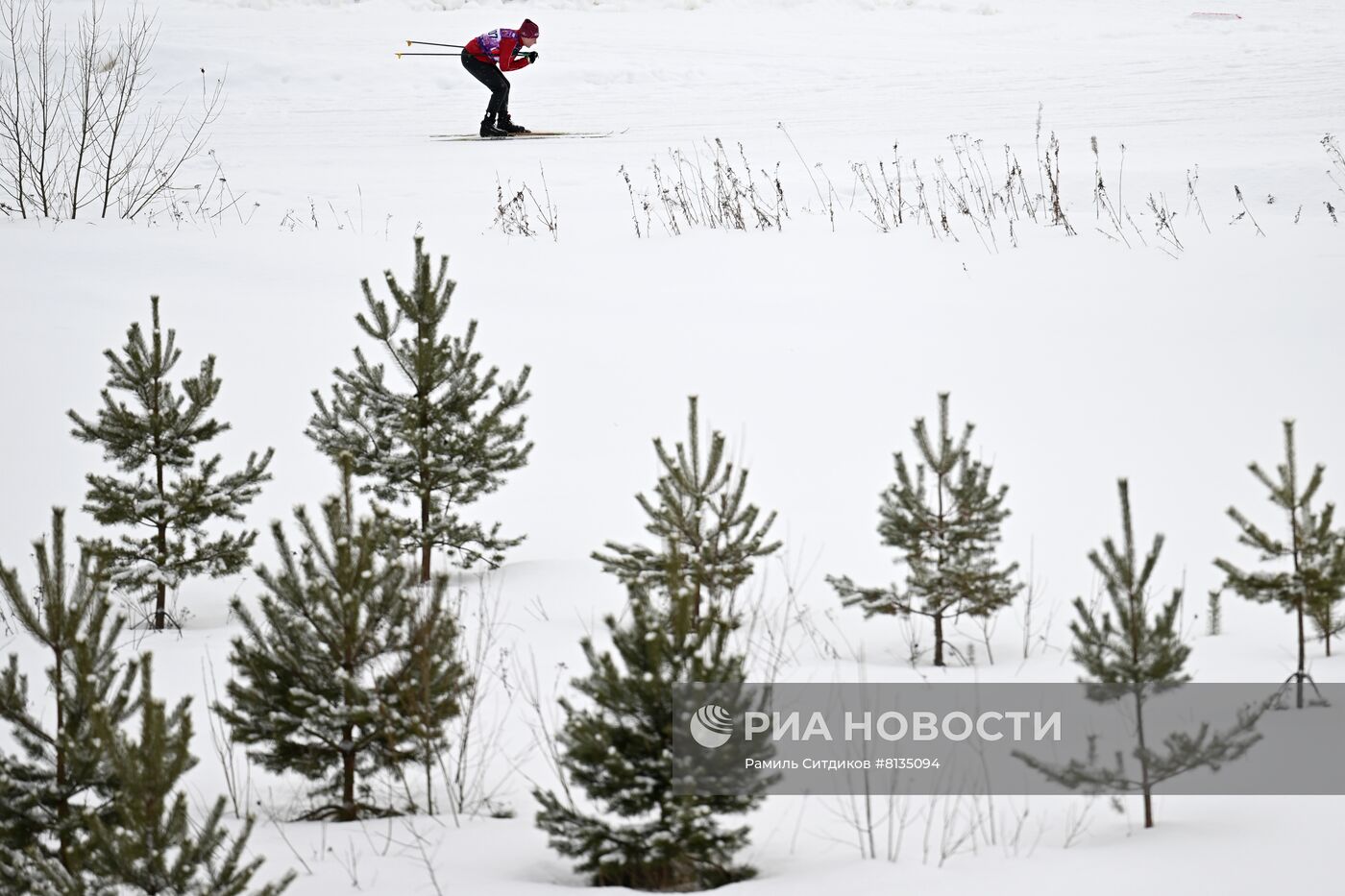 Лыжные гонки. Деминский марафон. Масс-старт