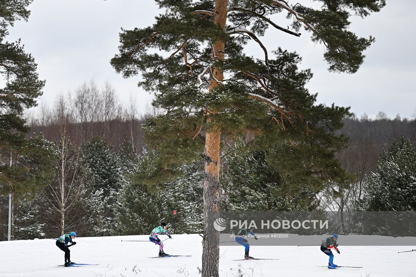 Лыжные гонки. Деминский марафон. Масс-старт
