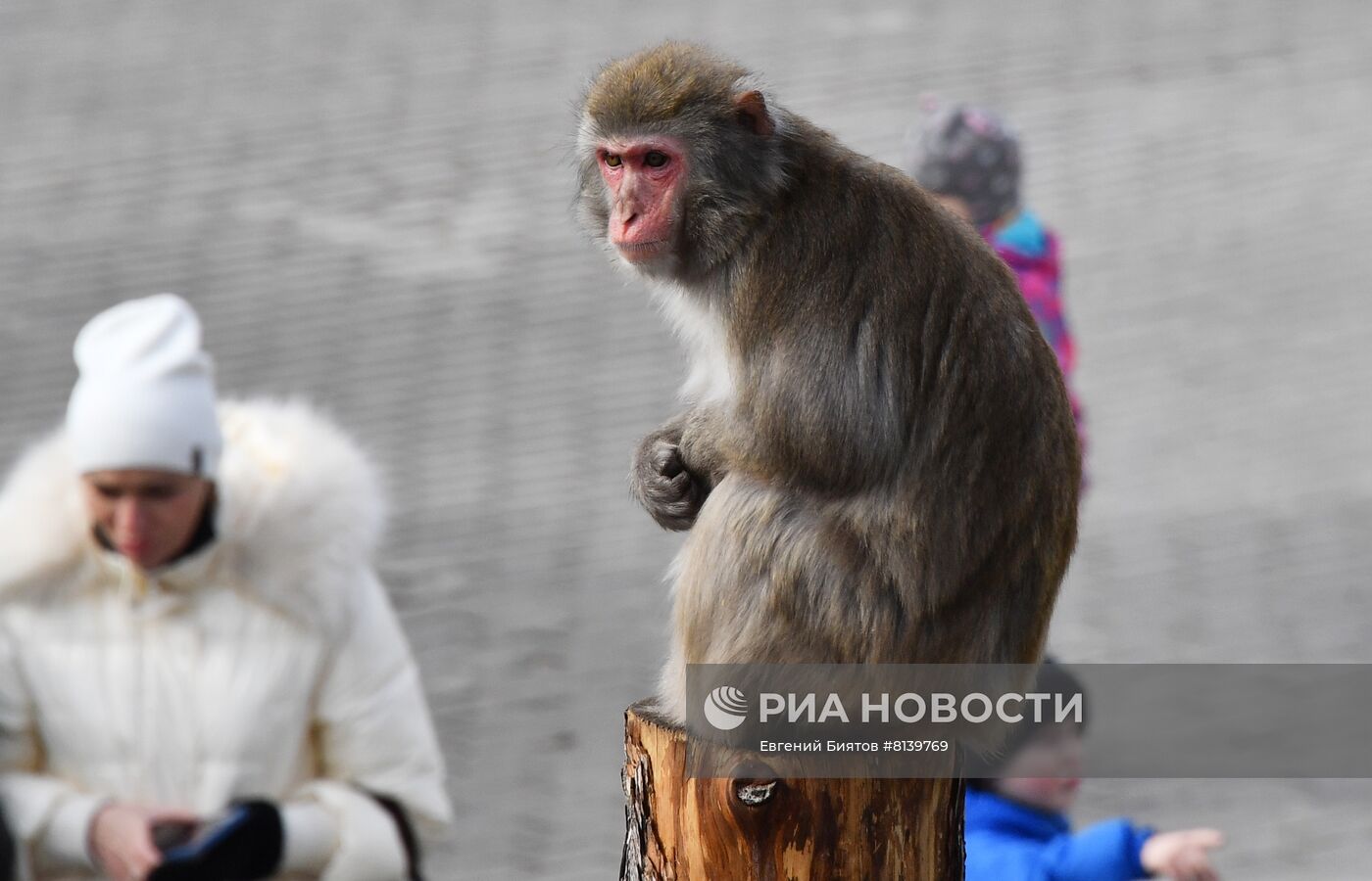 Московский зоопарк