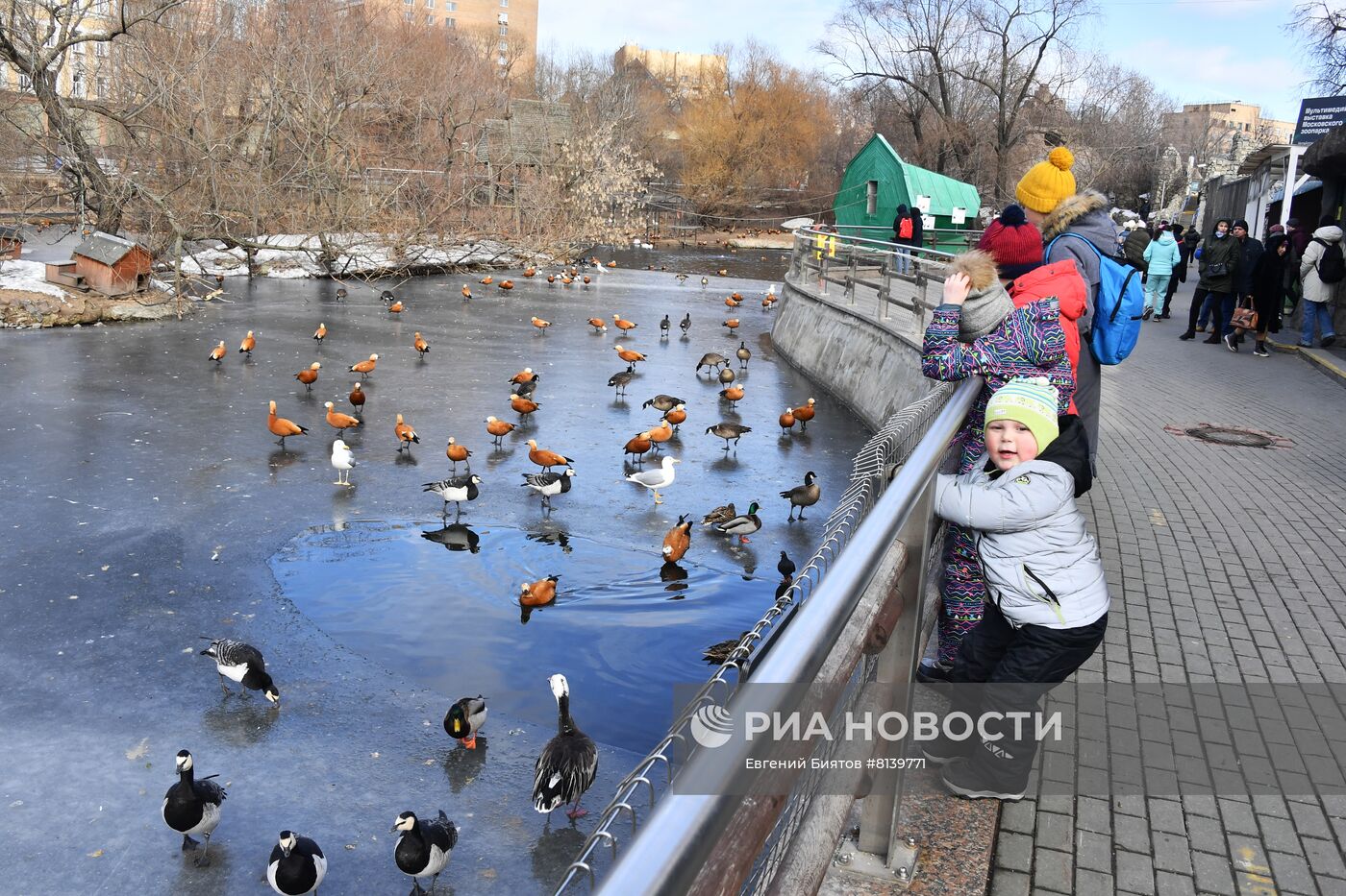 Московский зоопарк