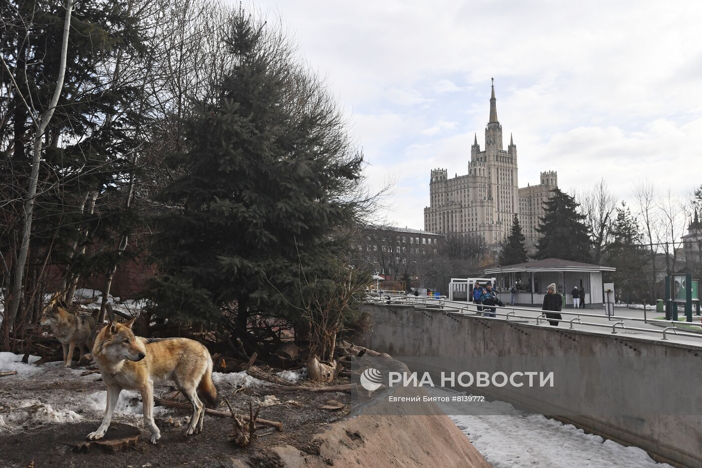 Московский зоопарк