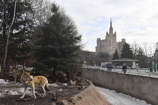 Московский зоопарк