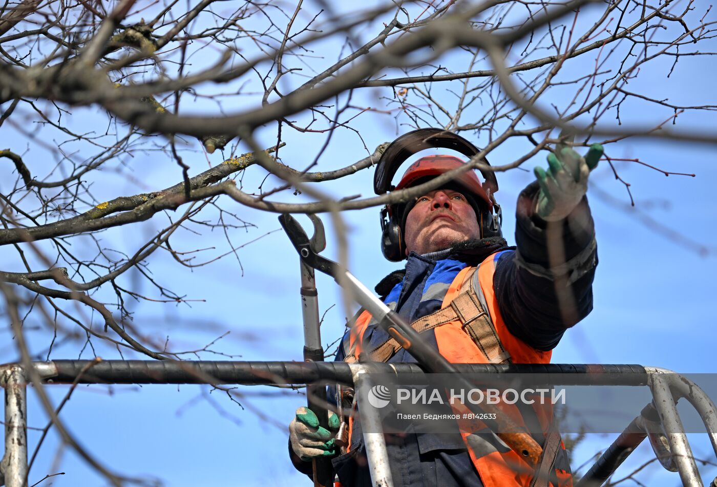 Обрезка деревьев на Поклонной горе 