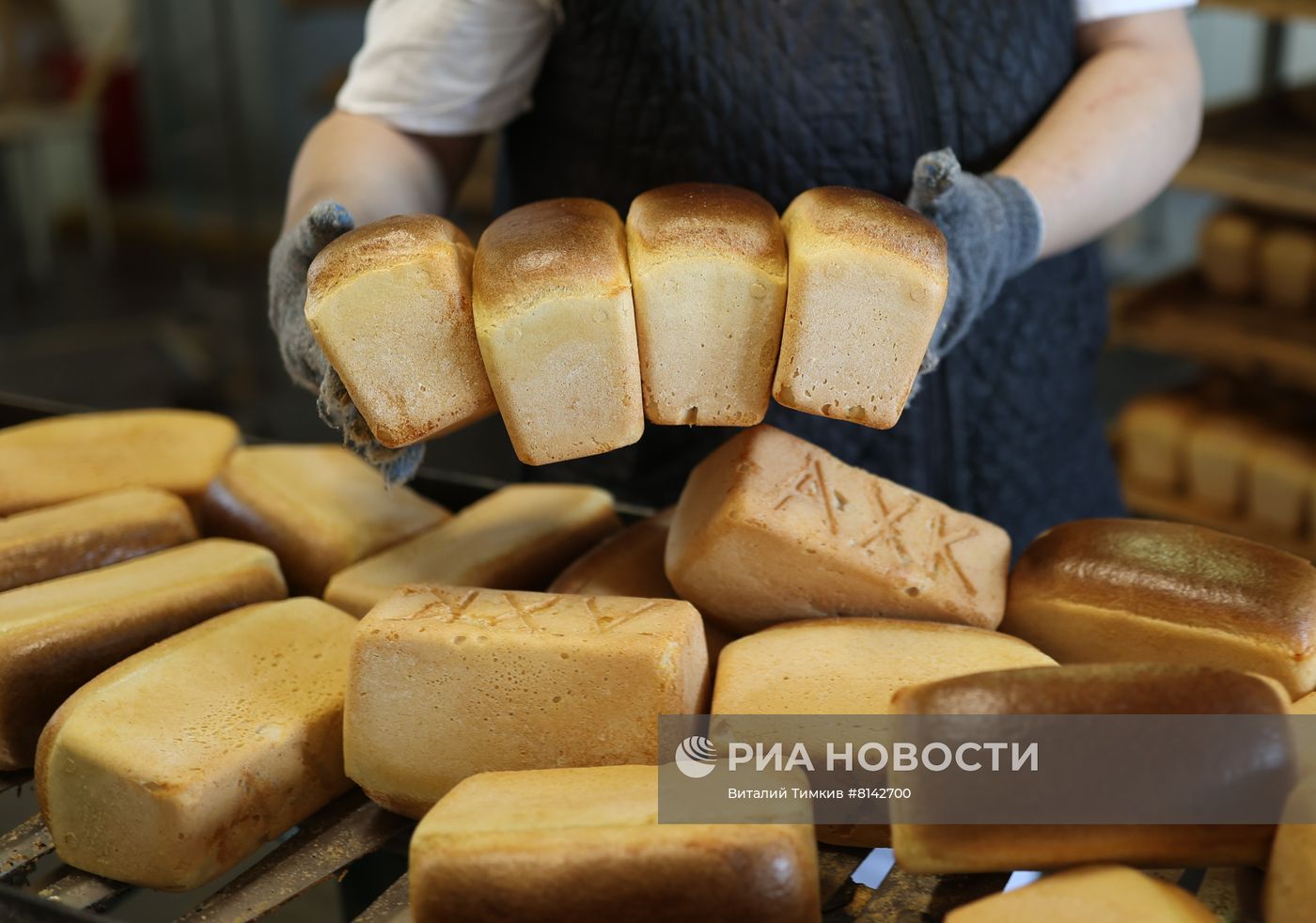 Работа Ахтырского хлебозавода в Краснодарском крае