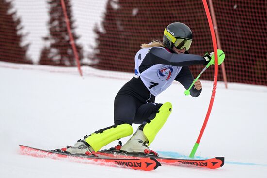 Зимние игры паралимпийцев "Мы вместе. Спорт". Горнолыжный спорт