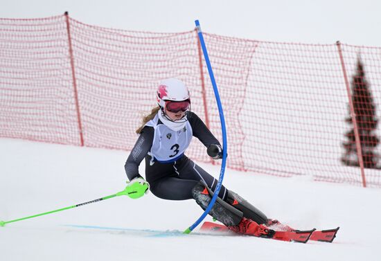 Зимние игры паралимпийцев "Мы вместе. Спорт". Горнолыжный спорт