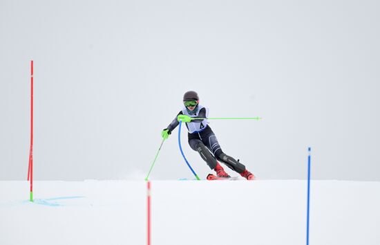 Зимние игры паралимпийцев "Мы вместе. Спорт". Горнолыжный спорт