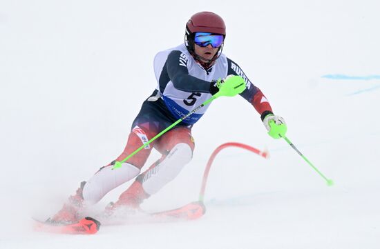 Зимние игры паралимпийцев "Мы вместе. Спорт". Горнолыжный спорт