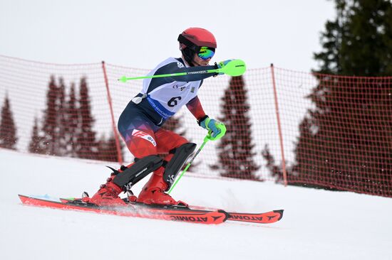 Зимние игры паралимпийцев "Мы вместе. Спорт". Горнолыжный спорт