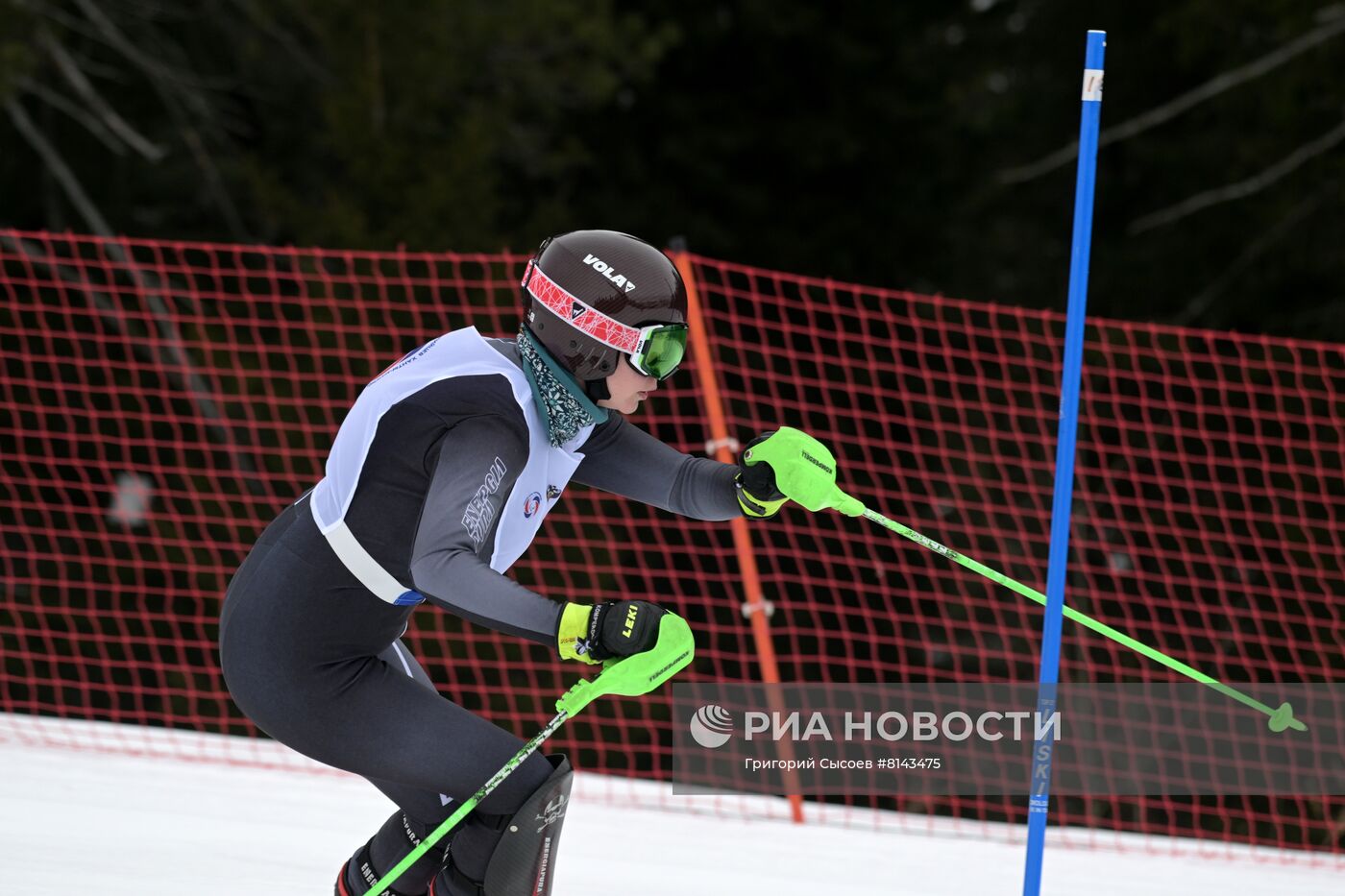 Зимние игры паралимпийцев "Мы вместе. Спорт". Горнолыжный спорт