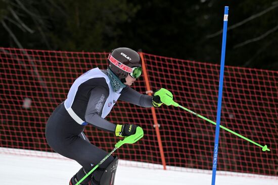 Зимние игры паралимпийцев "Мы вместе. Спорт". Горнолыжный спорт