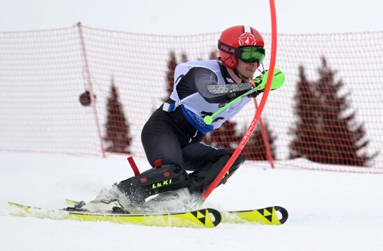 Зимние игры паралимпийцев "Мы вместе. Спорт". Горнолыжный спорт