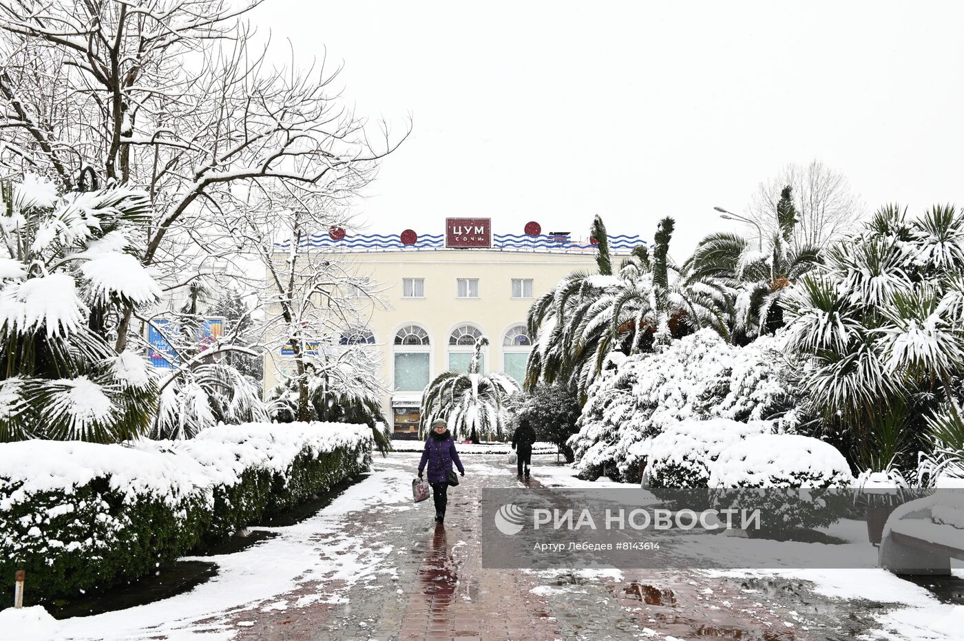 Снег в весеннем Сочи