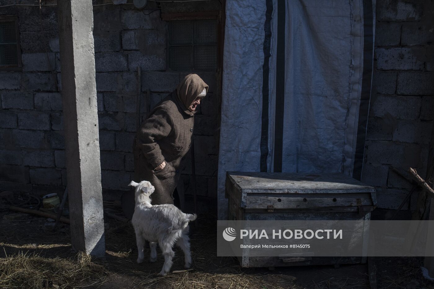 Воссоединение семьи на освобожденных Народной милицией ЛНР территориях