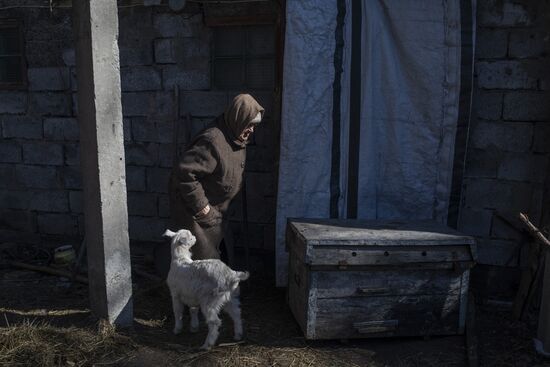 Воссоединение семьи на освобожденных Народной милицией ЛНР территориях