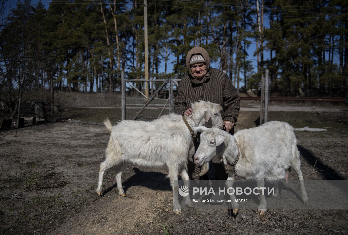 Воссоединение семьи на освобожденных Народной милицией ЛНР территориях