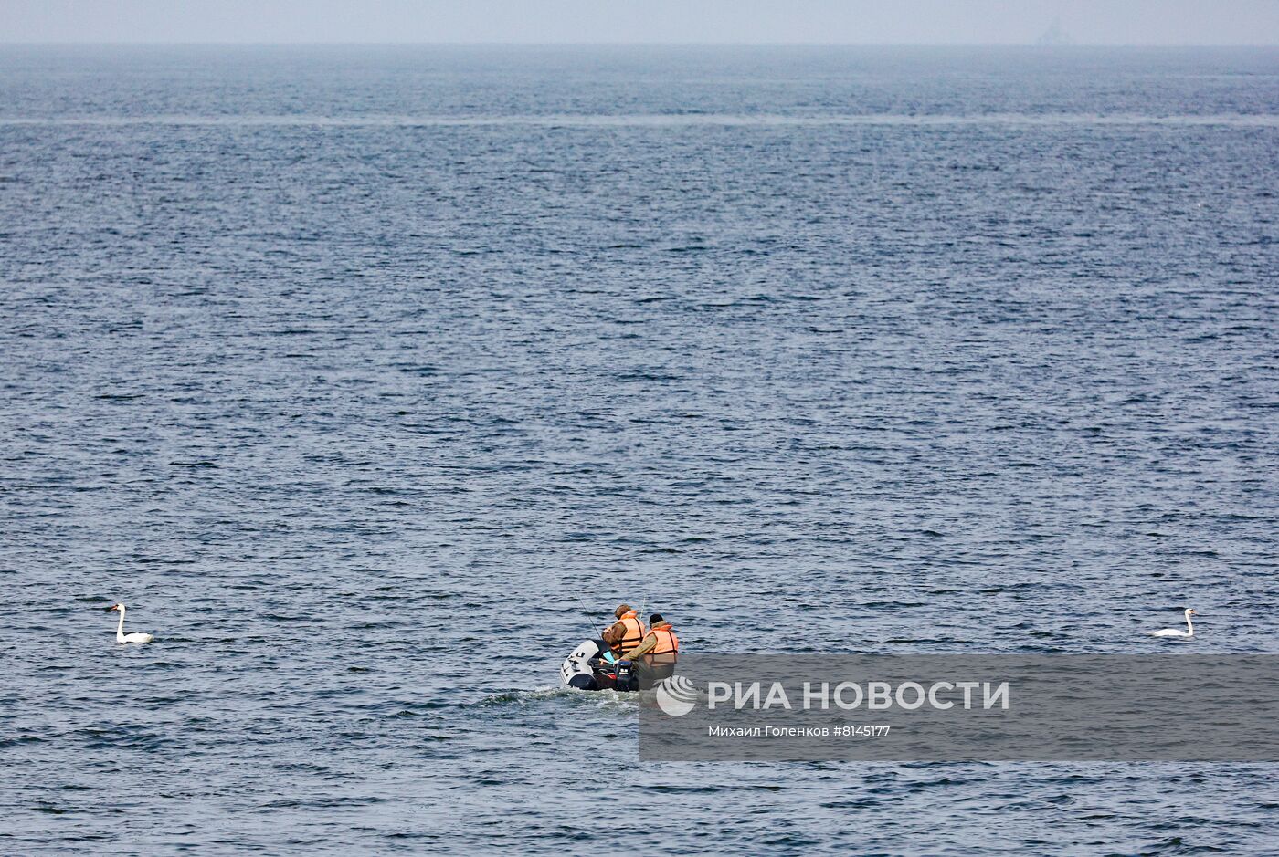 Ловля салаки в Балтийске