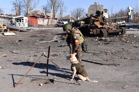 Волноваха возвращается к мирной жизни