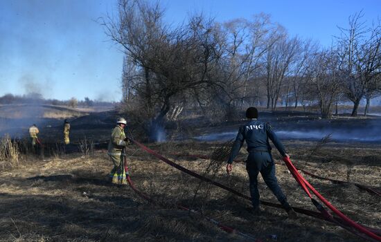 Повседневная жизнь в Донецке