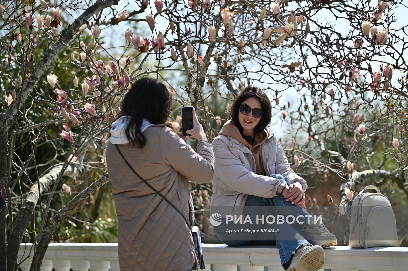 Цветение камелий и магнолий в Сочи