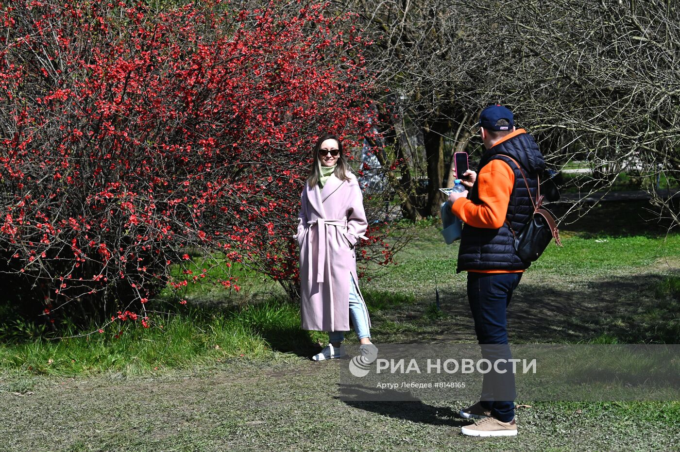 Цветение камелий и магнолий в Сочи