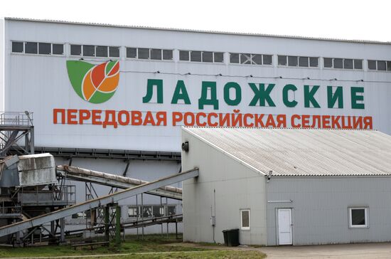 Продовольственные предприятия ГК "Прогресс-Агро" в Краснодарском крае